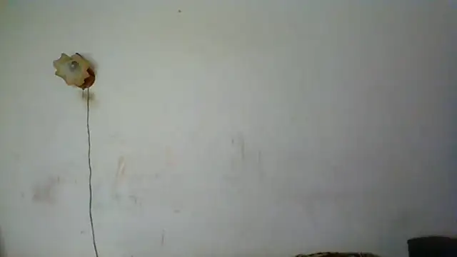 NickiKisinger online show from 16, 5, 2026