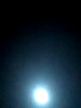 S7LEALTADPERVLIMA7 online show from 17, 4, 2026