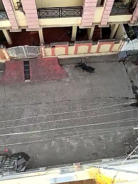 Castrol1289 online show from 11, 2, 2026