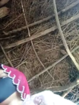 Meena sakshi online show from 2, 2, 2026