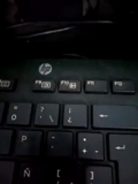 dallm5 online show from 2, 2, 2026