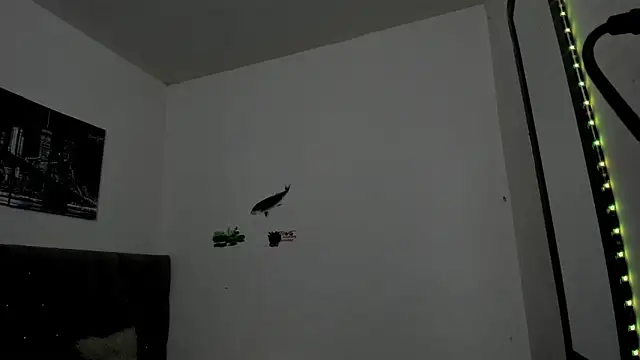  1DERECK online show from 15, 4, 2026