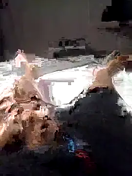 Al-Hari online show from 4, 2, 2026