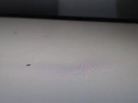 Snapshot of AlyssaBrown chatting on 21, 2, 2026 AlyssaBrown online show from 21, 2, 2026