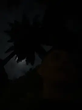 Gael Velaryx online show from 2, 4, 2026