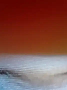 Saloni-Kumar online show from 23, 3, 2026