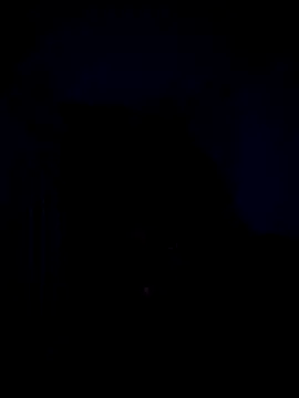 Telugucouple69 online show from 15, 2, 2026