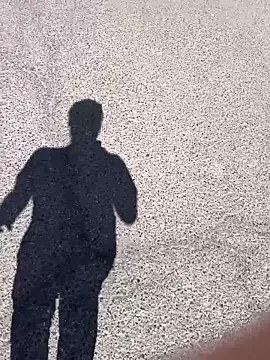 stallone italiano 62 online show from 17, 3, 2026