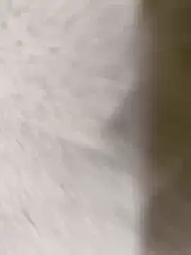 chennai sexyboy online show from 8, 2, 2026