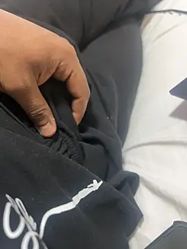 bhagihero online show from 19, 2, 2026