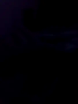 saraborges online show from 2, 8, 2026