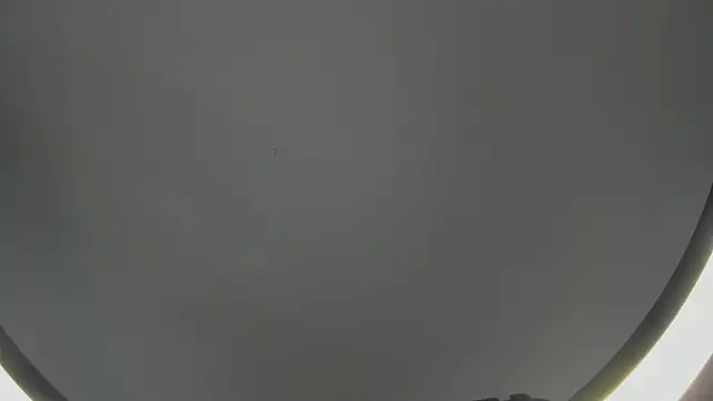 Snapshot of SinLickerr chatting on 18, 2, 2026 SinLickerr online show from 18, 2, 2026