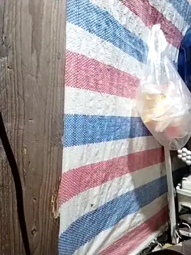 cute-shine online show from 13, 3, 2026