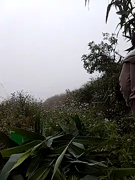 lovely-742 online show from 7, 3, 2026