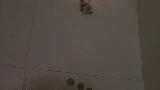 Snapshot of pbilip7787 chatting on 28, 2, 2026 pbilip7787 online show from 28, 2, 2026