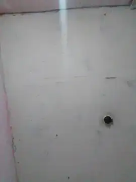 cobrosdepagos online show from 19, 2, 2026