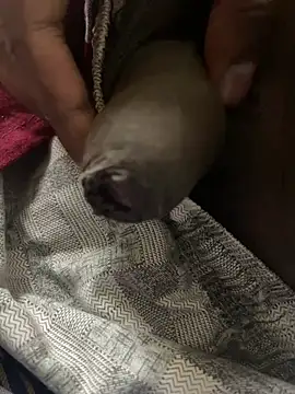 Snapshot of Magic_Spell_Tamil chatting on 20, 2, 2026 Magic Spell Tamil online show from 20, 2, 2026