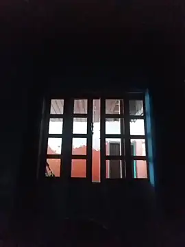 vinicius ribas online show from 15, 2, 2026