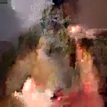 tubellaflor online show from 1, 3, 2026