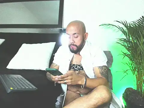 King bear 25 online show from 26, 2, 2026