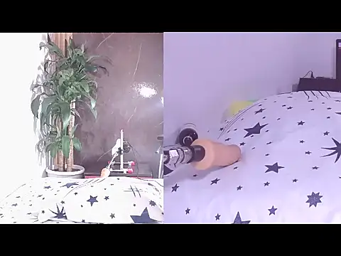 Carol Swet online show from 21, 4, 2026