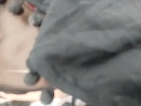 VeraVS online show from 20, 2, 2026