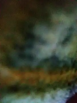 Snapshot of Avinh_09 chatting on 15, 2, 2026 Avinh 09 online show from 15, 2, 2026