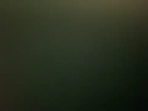 Botsuperdamq7 online show from 15, 2, 2026