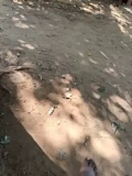 Snapshot of Locky_kamani chatting on 16, 2, 2026 Locky kamani online show from 16, 2, 2026