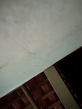 euchapo99 online show from 4, 4, 2026