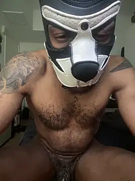 Snapshot of Kingbroxxx chatting on 9, 4, 2026 Kingbroxxx online show from 9, 4, 2026