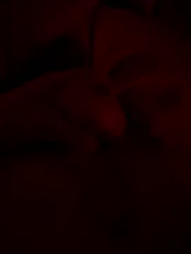 shark822 online show from 20, 2, 2026