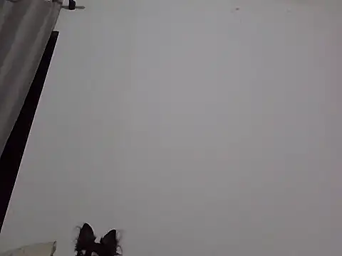 Snapshot of machodotado97 chatting on 2, 3, 2026 machodotado97 online show from 2, 3, 2026