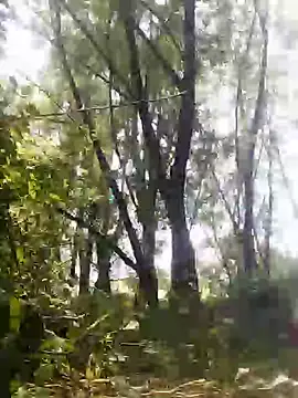 Snapshot of marti_8 chatting on 23, 5, 2026 marti 8 online show from 23, 5, 2026