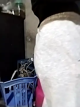 ngocbao11 online show from 16, 3, 2026