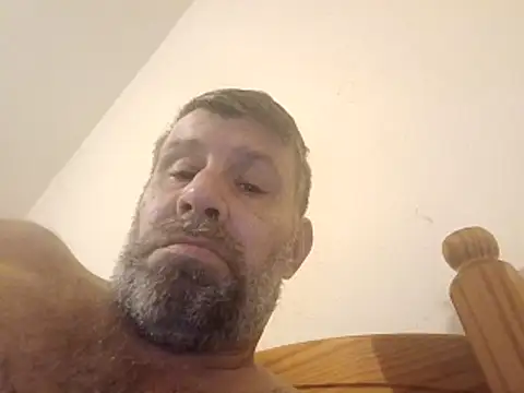 stud2512 online show from 7, 3, 2026