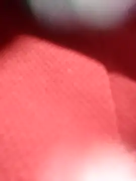 jackkk0011 online show from 26, 2, 2026