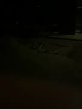 Snapshot of princessandthefootjob chatting on 31, 3, 2026 princessandthefootjob online show from 31, 3, 2026