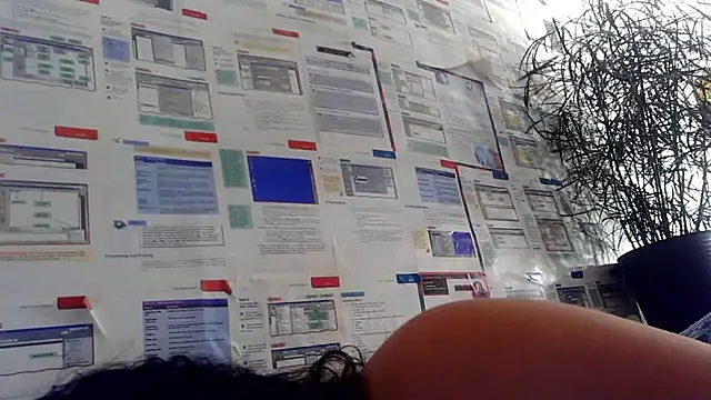 BunnyYT online show from 5, 3, 2026