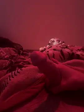 689Nika online show from 7, 4, 2026