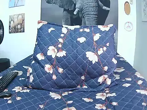 Snapshot of FireMontana9 chatting on 1, 3, 2026 FireMontana9 online show from 1, 3, 2026