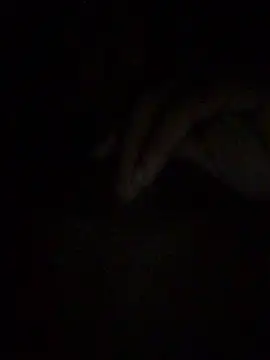 Snapshot of gostinhopauzudo chatting on 22, 3, 2026 gostinhopauzudo online show from 22, 3, 2026