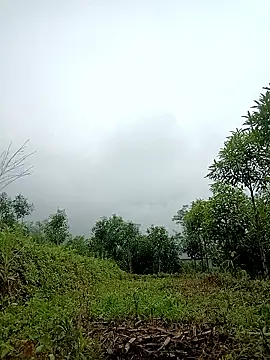 lyly sexx online show from 2, 4, 2026