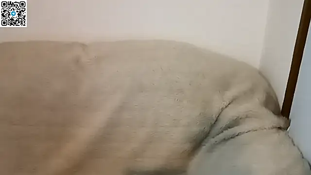  ZaneX online show from 9, 4, 2026