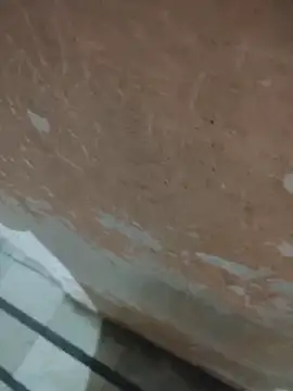 Tamillaxmi12 online show from 14, 4, 2026