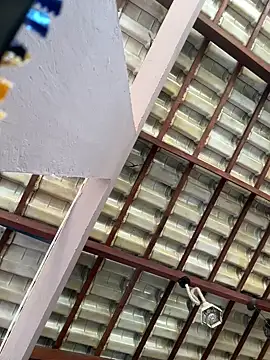 Geovana blan online show from 13, 4, 2026