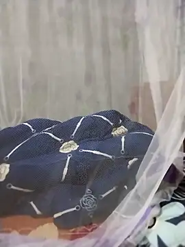 mylove-cute online show from 2, 4, 2026