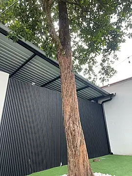 Bella-Ferrer online show from 14, 3, 2026