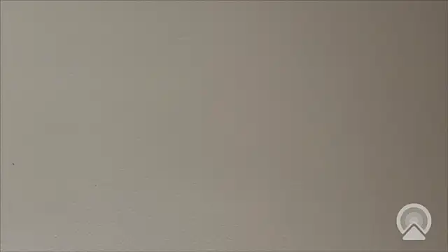 Shynesse21 online show from 26, 3, 2026