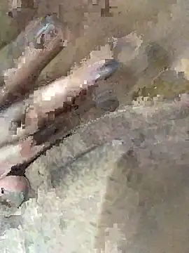 ayrla    online show from 24, 3, 2026